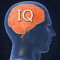 智商测试（标准版）